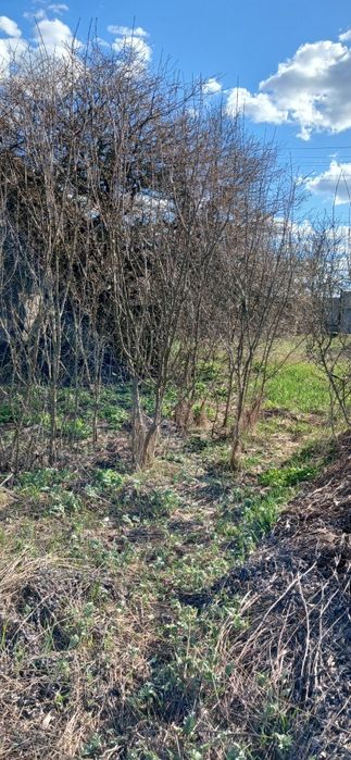 Продам земельну ділянку