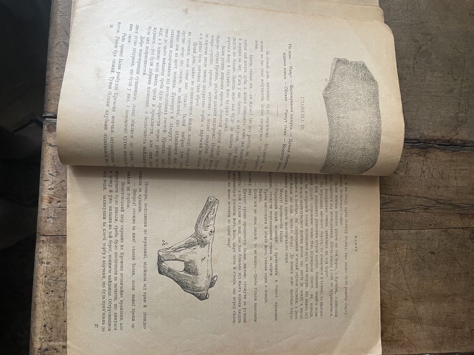 Антикварна книга «перший мистець»