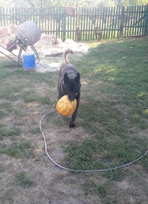 В'язка! Шукаємо подругу)