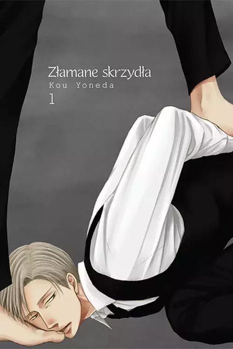Złamane Skrzydła. Tom 1. Nowy Produkt