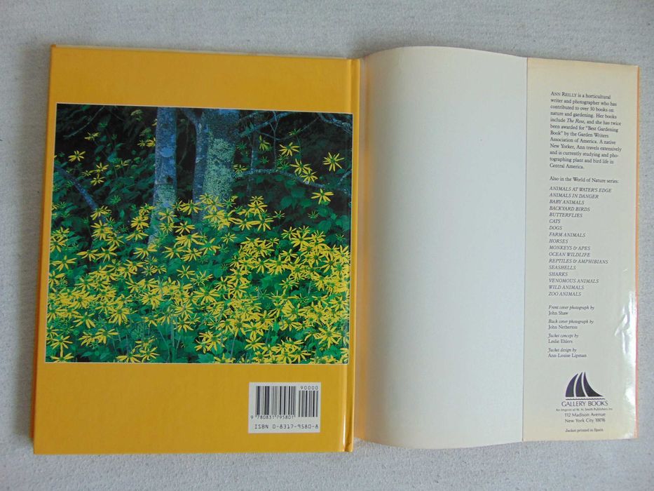 Album Wildflowers - Ann Reilly