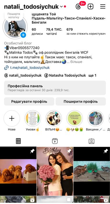 Малюки мальтіпу ф 2