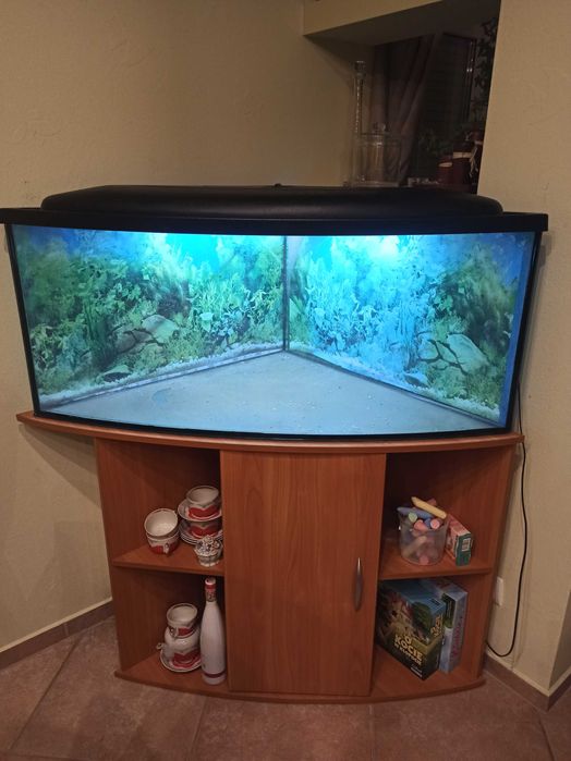 Aquarium z szafką BielskoBiała • OLX.pl