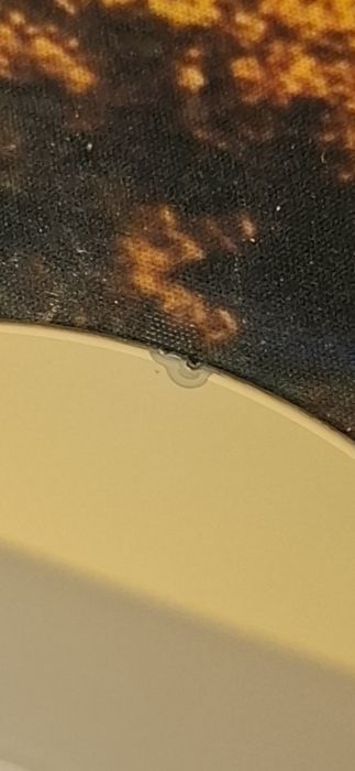 Red Dead Redemption 2 PS4