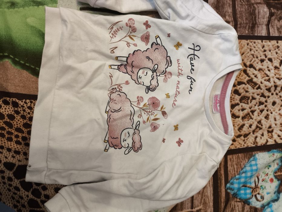 Bluza w owieczki