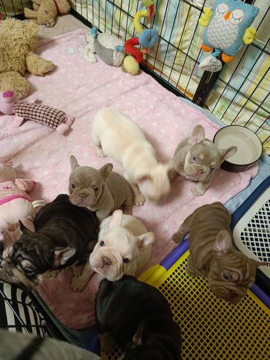 Ось така банда хлопці та дівчата