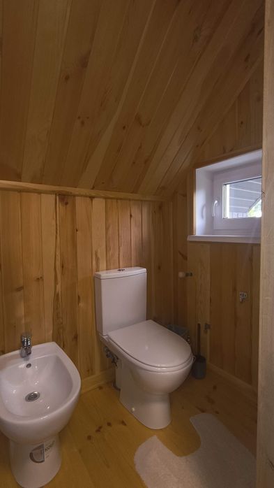 Будинок -дача в живописному місці серед природи