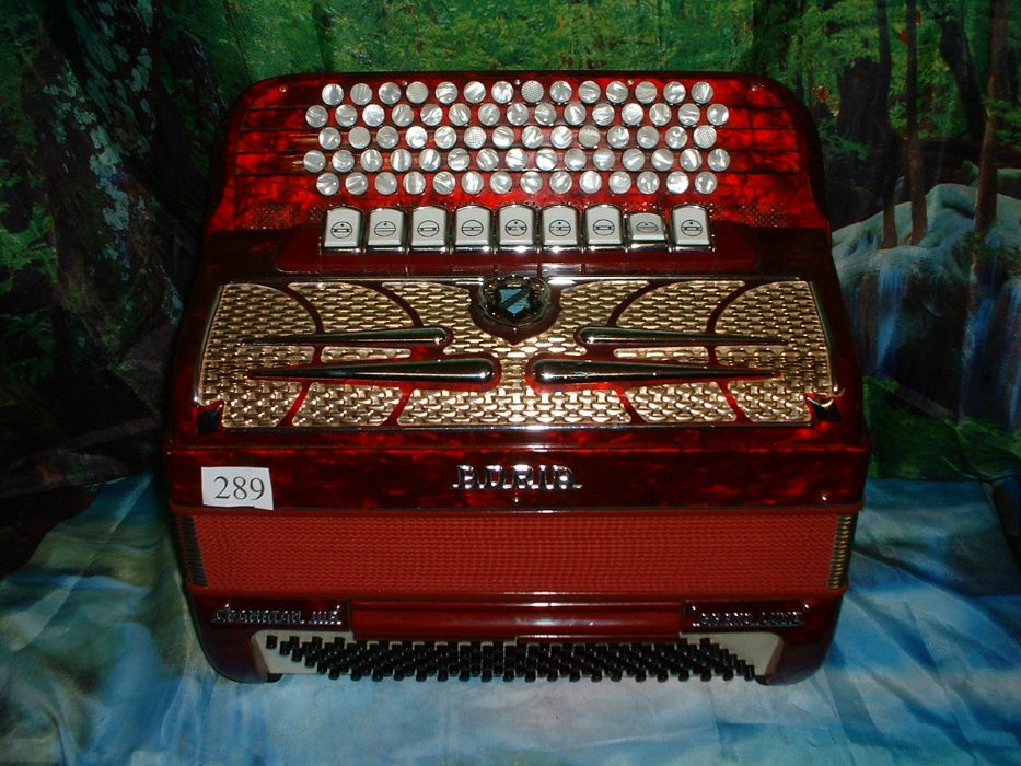 Acordeão Avenda G, .289