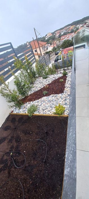 Jardim manutenção e construção