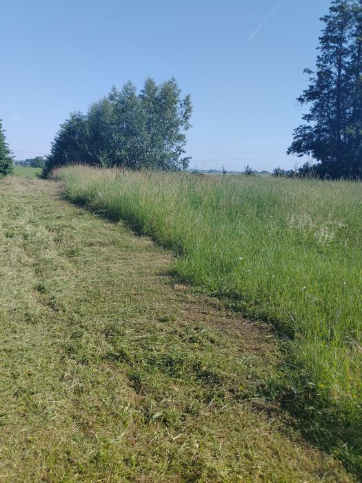 Usługi Ogrodnicze, wertykulacja trawników