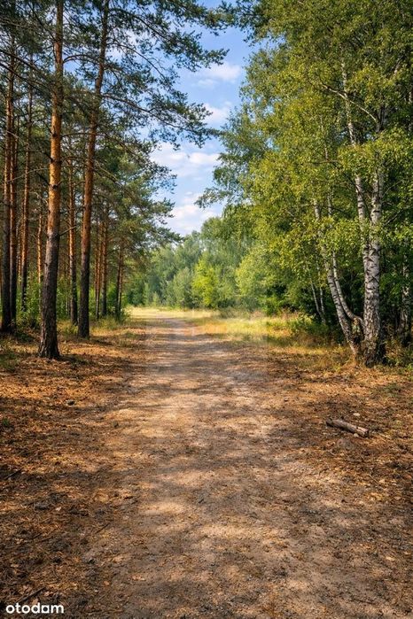 Pilna sprzedaż 6642m2 Malcanów