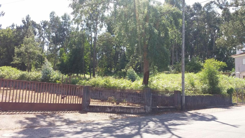 Terreno Caldas S. Jorge