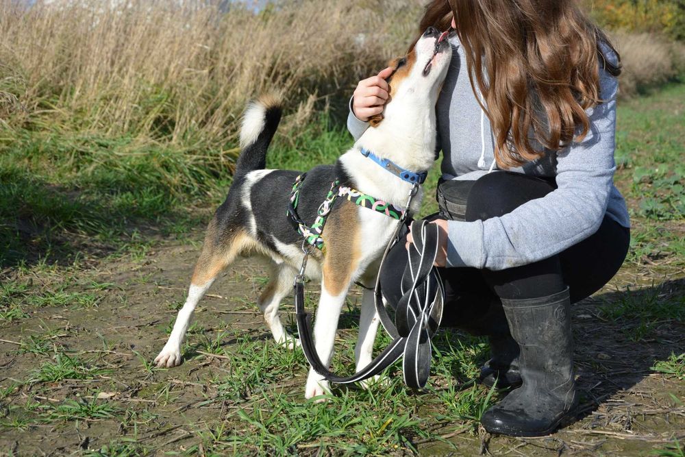 Rio nie widzi świata – ale szuka w nim swojego człowieka