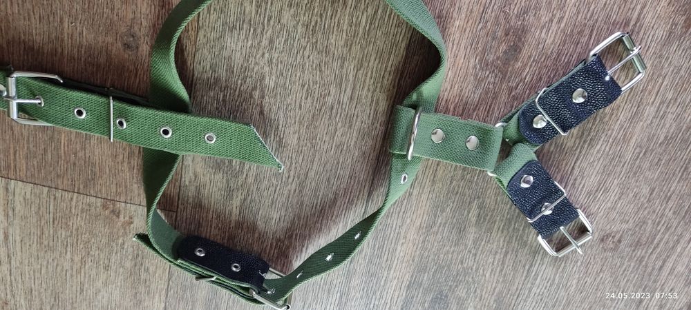 Ошейник для собаки.