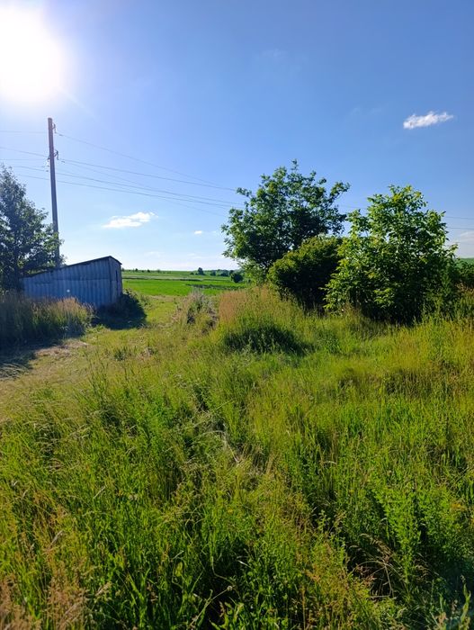 Земельна ділянка.