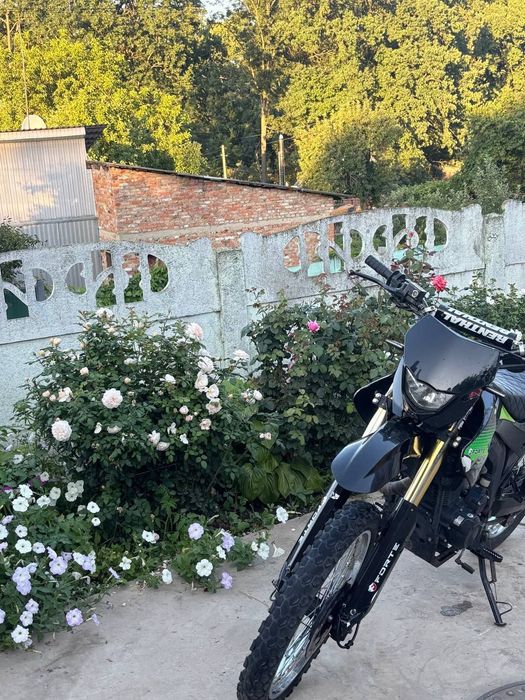 Продам forte cba 250