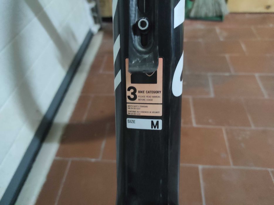 Canyon Lux Word Cup Carbono