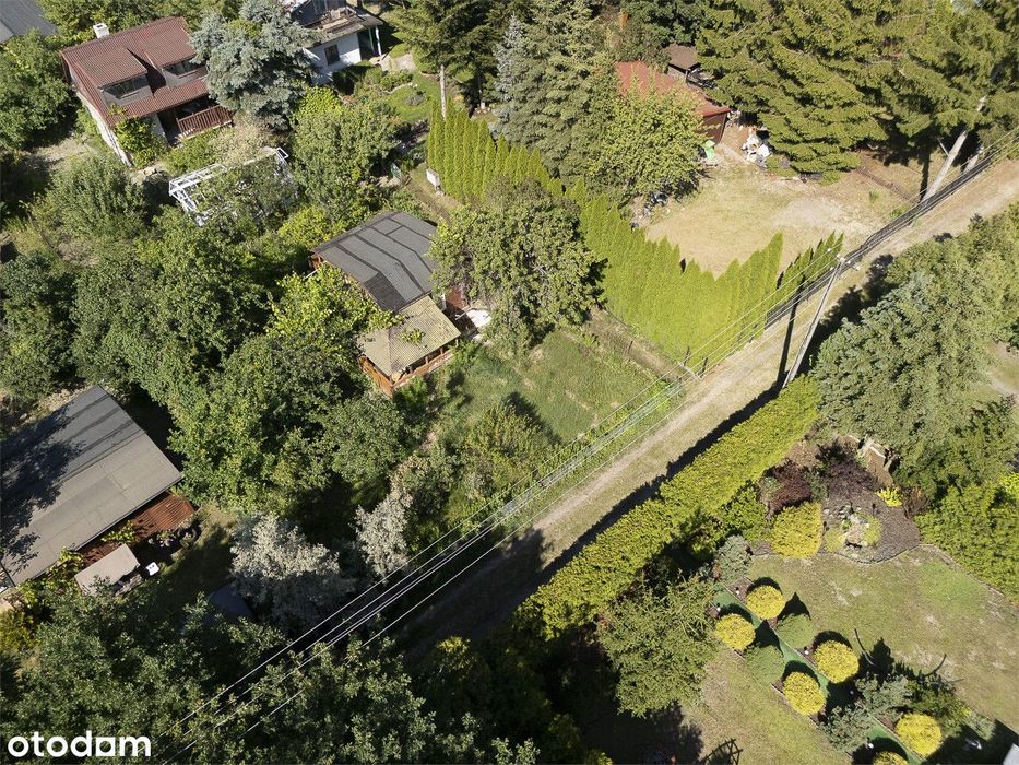 Bezpośrednio I Twój Prywatny Azyl W Warszawie - Widok 4