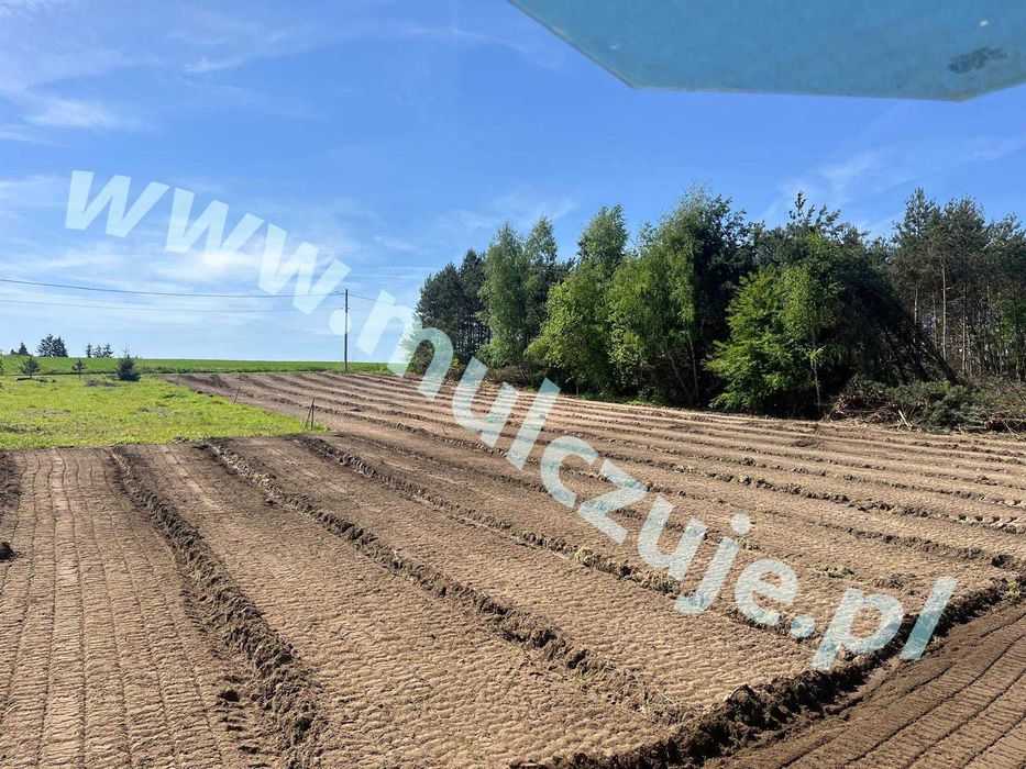 Karczowanie działki Andrychów | zarośla i przygotowanie terenu