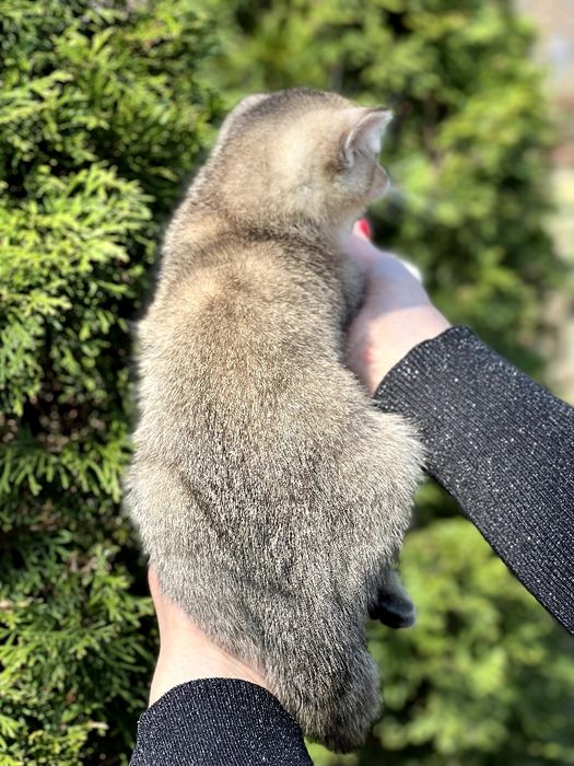 ХШикарний  плюшевий хлопчик