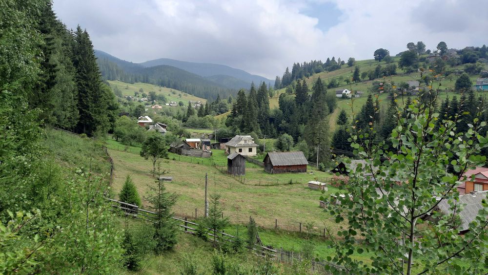 Дві ділянки 31 сотка, та пів хати. Ліс, річка. Світ, криниця, асфальт