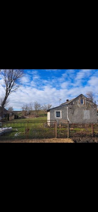 Sprzedam działkę 1,09 ha z domem – Gorzków (gm. Kazimierza Wielka) - Widok 3