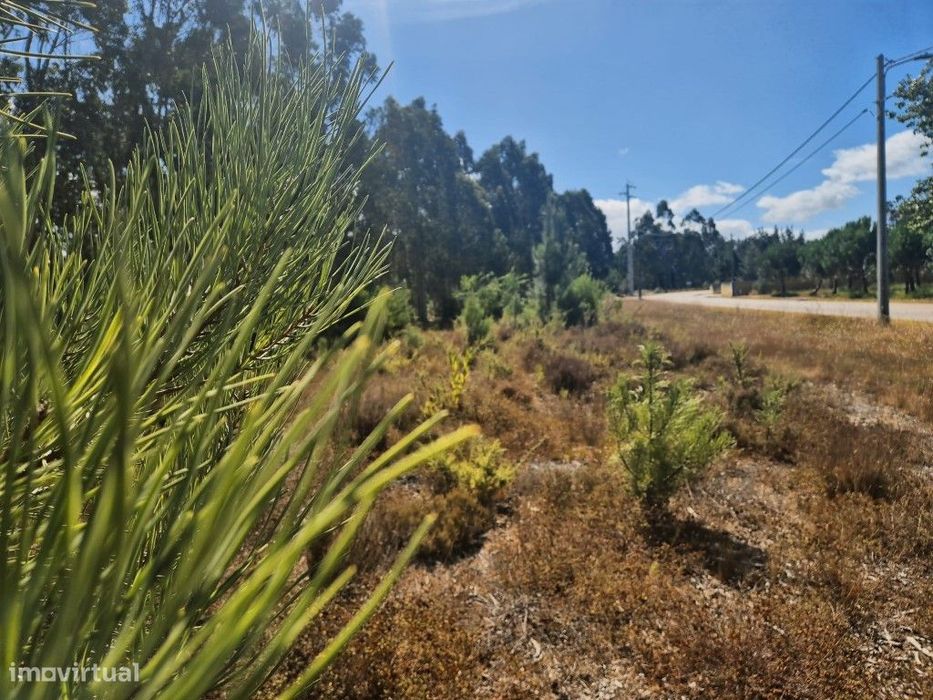 Terreno rústico com possibilidade de construção - Ribas, Figueira d... — Moinhos da Gândara, Coimbra