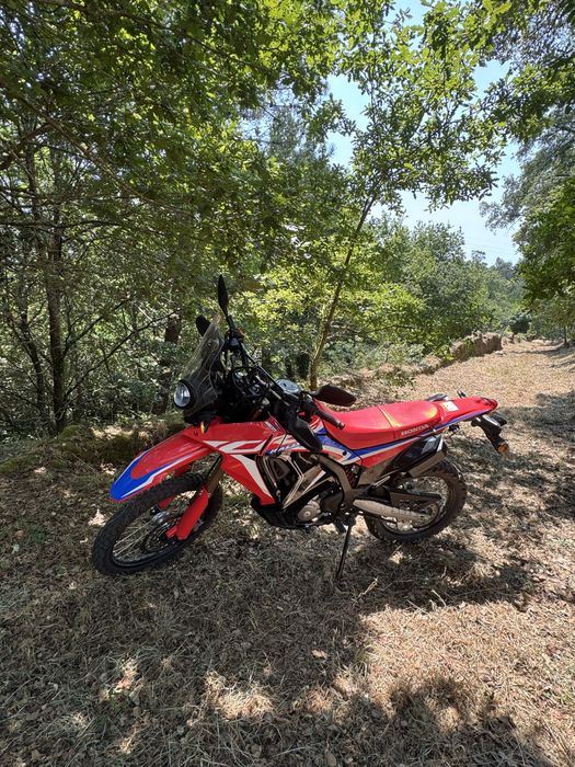 Honda crf 300 rally 2025