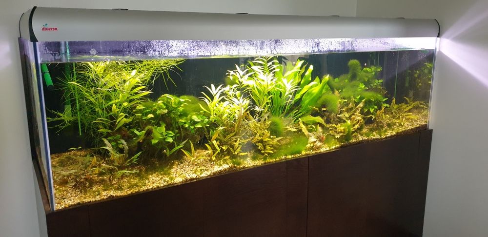 Akwarium  diversa 720 litrów 60x60x200 z osprzętem