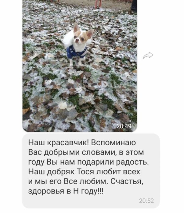 Маленькі    друзі