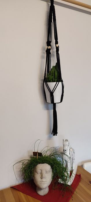 Kwietnik wiszący