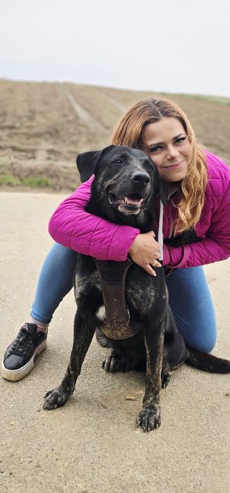 Potter cudowny samiec