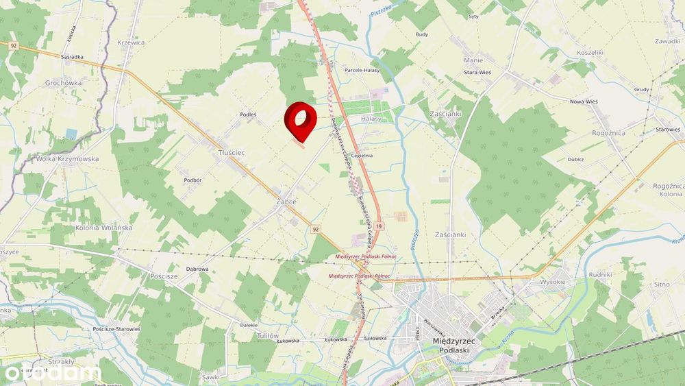Działka rolna 1,55 ha w Żabcach, regularny kształt, Blisko A2 i s19