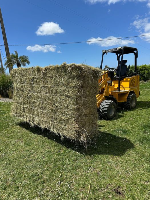 Fardos de Feno Francês de Alta Qualidade de 500 kg