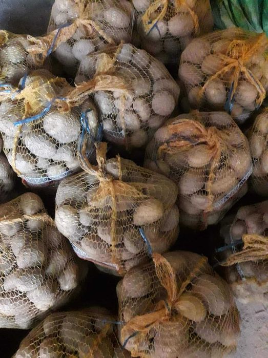 Sprzedam ziemniaki Lilly