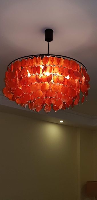 Candeeiro Gato Preto