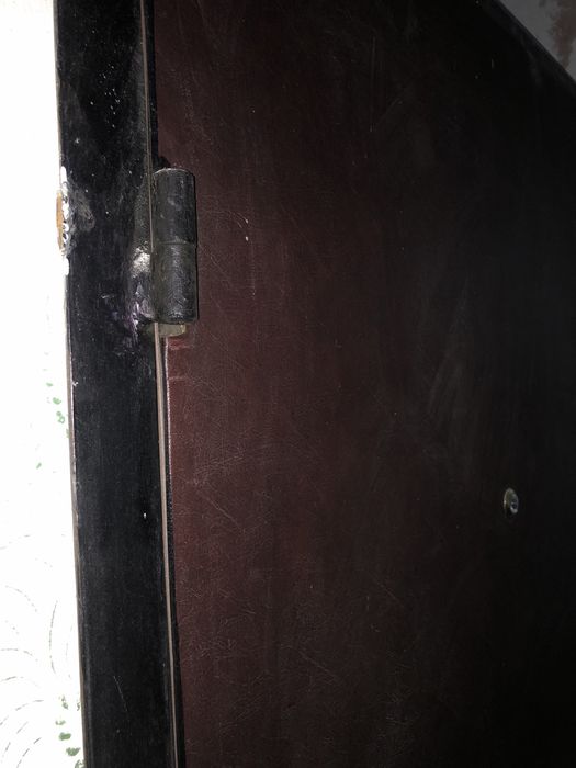 Металеві двері без утеплення