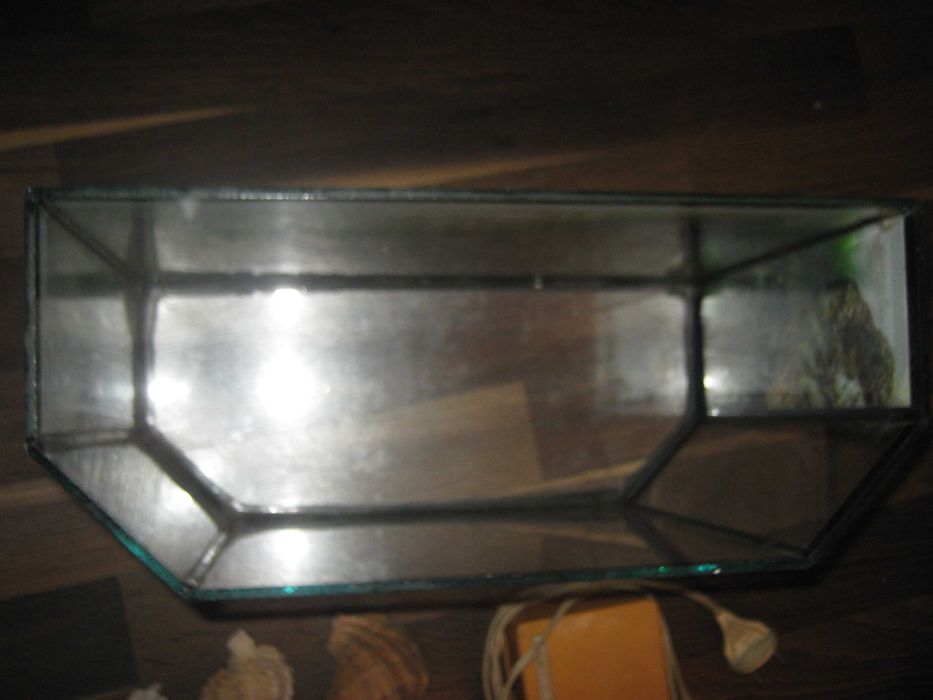 Аквариум,с ракушками и компрессором