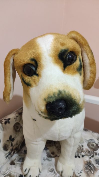 Собака велика м'яка іграшка