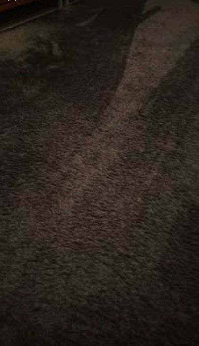 Tapete castanho escuro