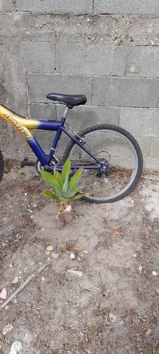 Bicicleta junior
