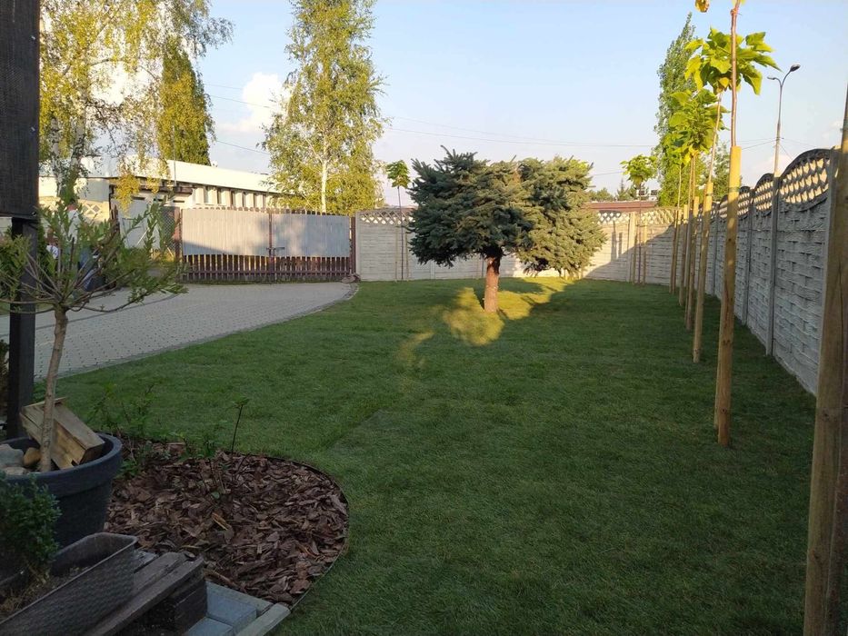 Usługi ogrodnicze - zakładanie ogrodów, pielęgnacja, przycinanie tuj