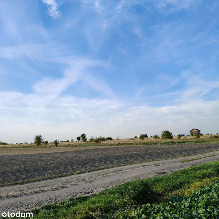Sprzedam 4 działki budowlane w Mazurowicach - Widok 4