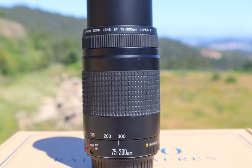 Canon EF 75-300mm F/4-5.6 II