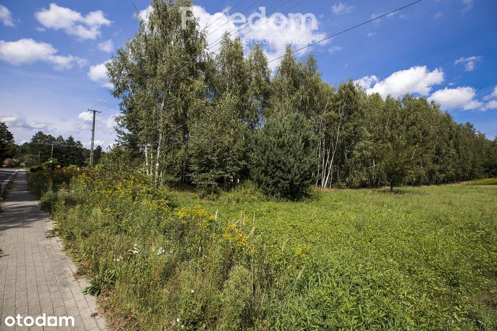 Działka 81 ar z lasem | Wz w toku | Rakszawa - Więcej