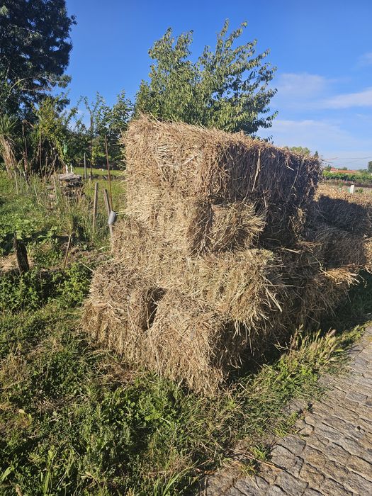 Vendo fardos de palha