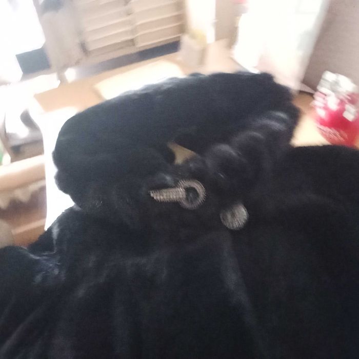 Ш уба мутон ,норка