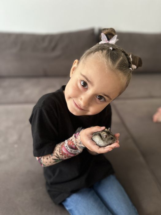 Хомʼяк з кліткою, клітка для хомʼяка