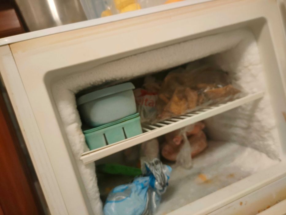 Geladeira sem garantia