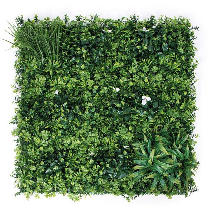 Jardim Vertical - EXOTIC